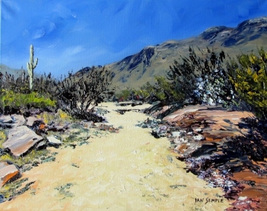 Sonoran Desert Wash