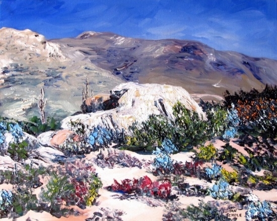 Sonoran Desert Scene #1