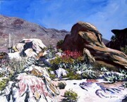 Sonoran Desert Scene #2