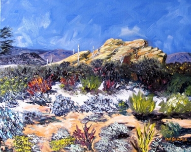 Sonoran Desert Scene #3